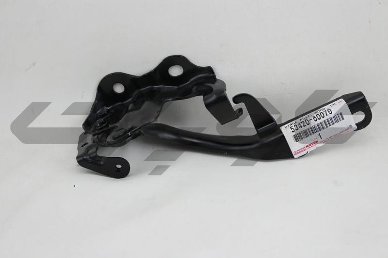 HINGE ASSY, HOOD, LH