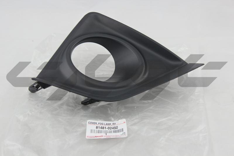 COVER, FOG LAMP, RH