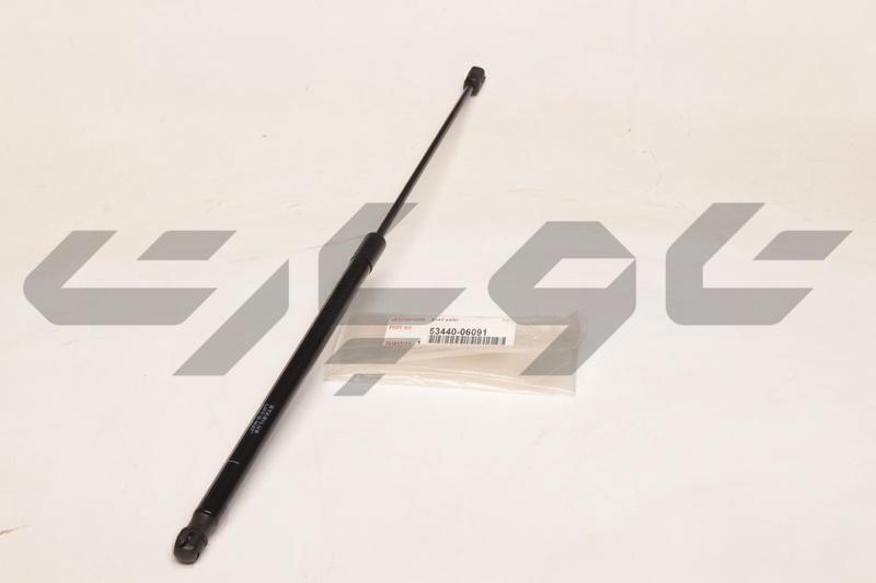 SUPPORT ASSY, HOOD, RH