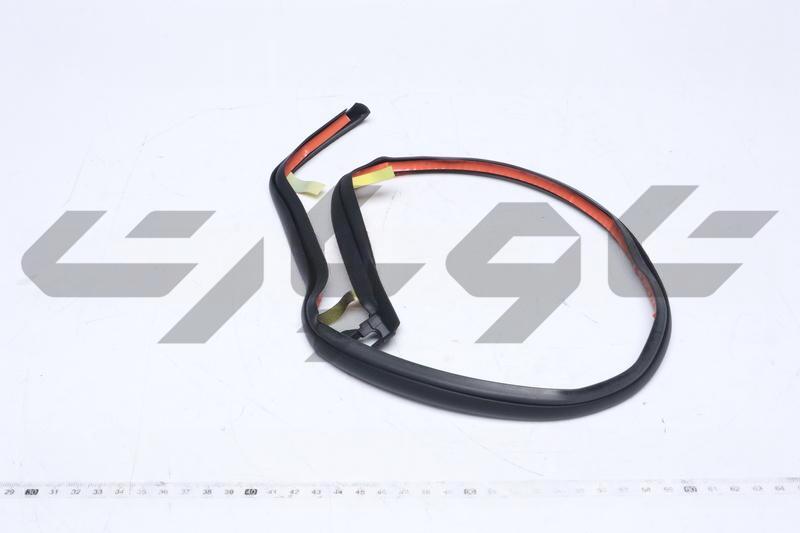 WEATHERSTRIP, REAR DOOR, NO.3 LH