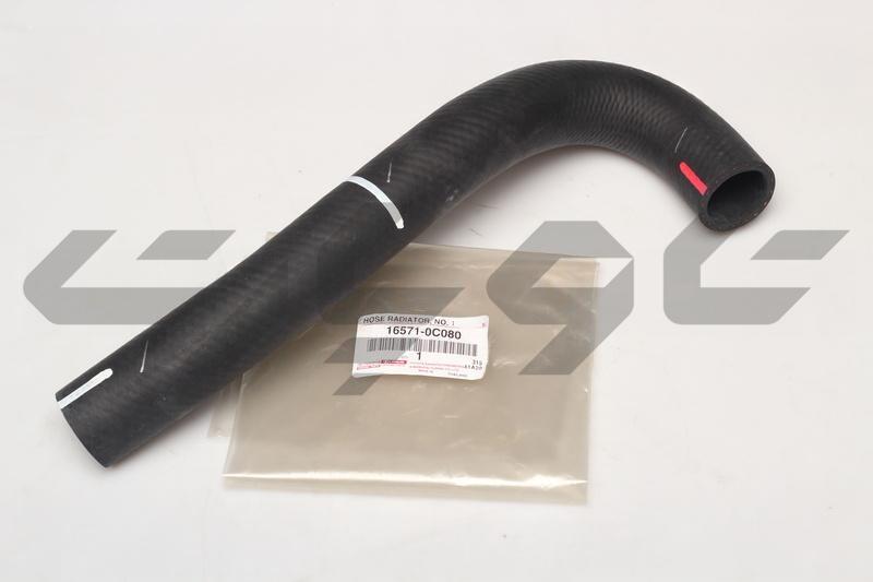 HOSE, RADIATOR, NO.1