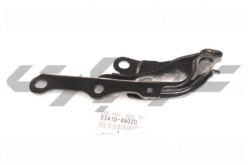 HINGE ASSY, HOOD, RH