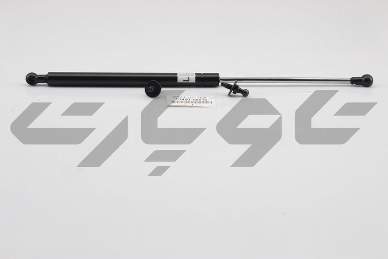 SUPPORT ASSY, HOOD, LH