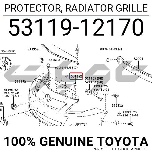 PROTECTOR, RADIATOR GRILLE